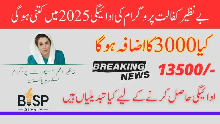 Benazir Income Support Program Payment In Bank Accounts 13500 In 2025 Latest Update