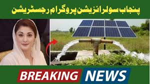 Easy Ways to Prevent Being Disqualified for the CM Punjab Program for Free Solar Panels