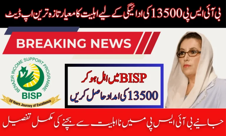 Who Can Receive the BISP 13500 Payment After Check Eligibility Details in 2025