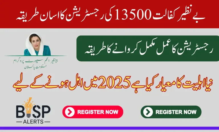 Significant Prospect: Tehsil Office’s Benazir Kafalat 13500 Payment Revalidation Procedure in 2025