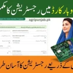 Procedure for Registering a Chief Minister Asaan Karobar Card, Eligibility Requirements, and Registration Documents